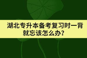 湖北專升本備考復(fù)習(xí)時(shí)一背就忘該怎么辦?