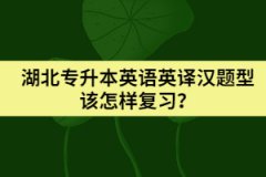 湖北專升本英語英譯漢題型該怎樣復習？