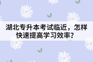 湖北專升本考試臨近，怎樣快速提高學(xué)習(xí)效率？