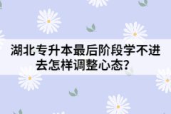 湖北專升本最后階段學(xué)不進(jìn)去怎樣調(diào)整心態(tài)？