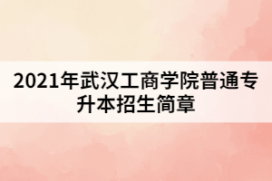 2021年武漢工商學(xué)院普通專升本招生簡(jiǎn)章