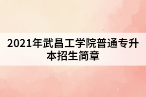 2021年武昌工學院普通專升本招生簡章