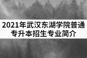 2021年武漢東湖學院普通專升本招生專業(yè)簡介