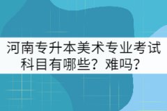 河南專升本美術(shù)專業(yè)考試科目有哪些？難嗎？