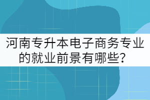 河南專升本電子商務專業(yè)的就業(yè)前景有哪些?
