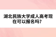湖北民族大學成人高考現(xiàn)在可以報名嗎？