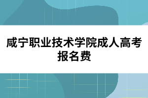 咸寧職業(yè)技術(shù)學院成人高考報名費