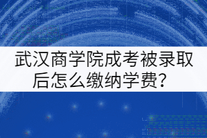 武漢商學(xué)院成考被錄取后怎么繳納學(xué)費(fèi)？