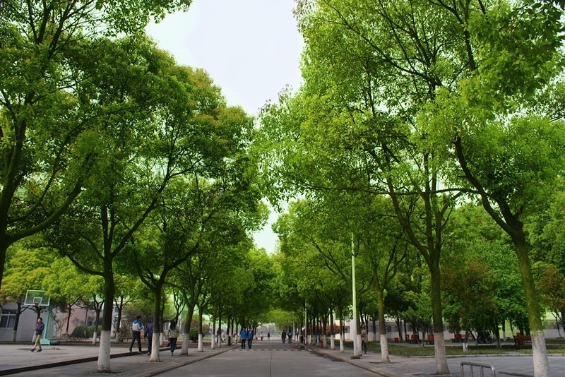 荊州理工職業(yè)學(xué)院成考校園環(huán)境