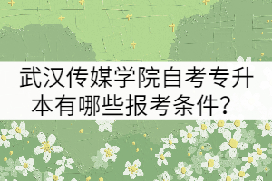 武漢傳媒學(xué)院自考專升本有哪些報(bào)考條件？