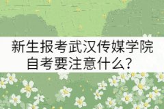 新生報(bào)考武漢傳媒學(xué)院自考要注意什么？