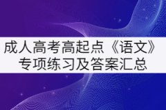 2021年湖北成人高考高起點(diǎn)《語(yǔ)文》專(zhuān)項(xiàng)練習(xí)及答案匯總
