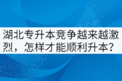湖北專升本競爭越來越激烈，怎樣才能順利升本？