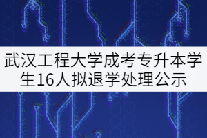 武漢工程大學(xué)成考專升本前置?？茖W(xué)歷資格清查學(xué)生16人擬退學(xué)處理公示