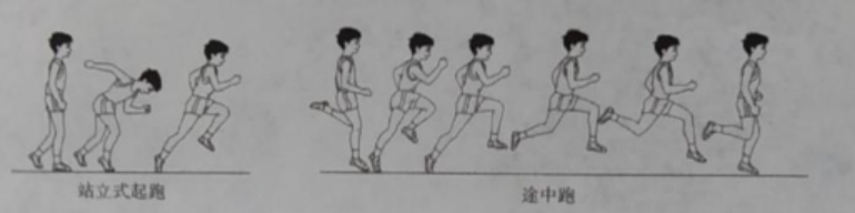 三、50米全程跑