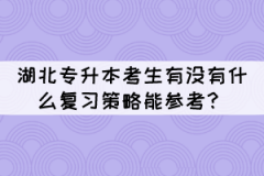 2022年湖北專升本考生有沒有什么復習策略能參考？