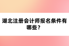 湖北注冊會計(jì)師報(bào)名條件有哪些？
