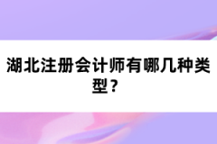 湖北注冊會計(jì)師有哪幾種類型？