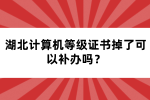 湖北計(jì)算機(jī)等級(jí)證書掉了可以補(bǔ)辦嗎？
