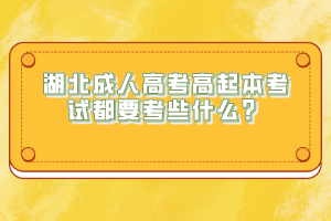 湖北成人高考高起本考試都要考些什么？
