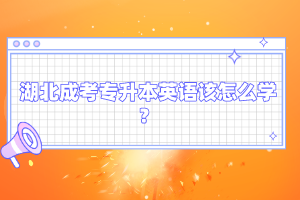 湖北成考專升本英語該怎么學(xué)?