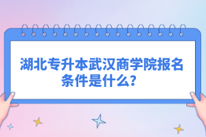湖北專升本武漢商學院報名條件是什么？