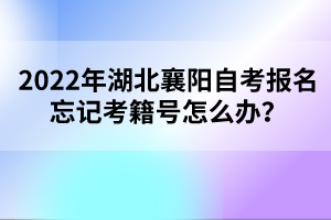 2022年湖北襄陽自考報名忘記考籍號怎么辦？