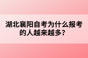湖北襄陽自考為什么報(bào)考的人越來越多？