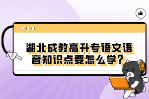 湖北成教高升專語(yǔ)文語(yǔ)音知識(shí)點(diǎn)要怎么學(xué)？