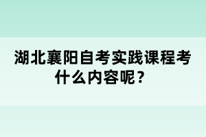 湖北襄陽(yáng)自考實(shí)踐課程考什么內(nèi)容呢？