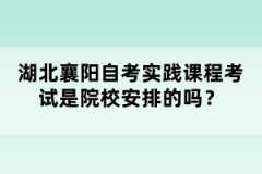 湖北襄陽自考實踐課程考試是院校安排的嗎？