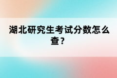 湖北研究生考試分數(shù)怎么查？