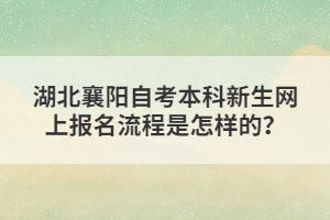 湖北襄陽(yáng)自考本科新生網(wǎng)上報(bào)名流程是怎樣的?